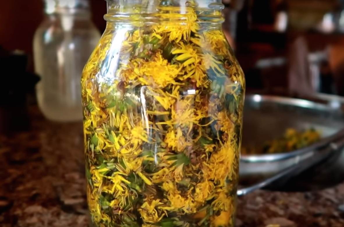  JAČA IMUNITET, PREPUN JE VITAMINA I POMAŽE KOD ČESTOG PROBLEMA: Čaj od maslačka je pravi dragulj narodne medicine! 