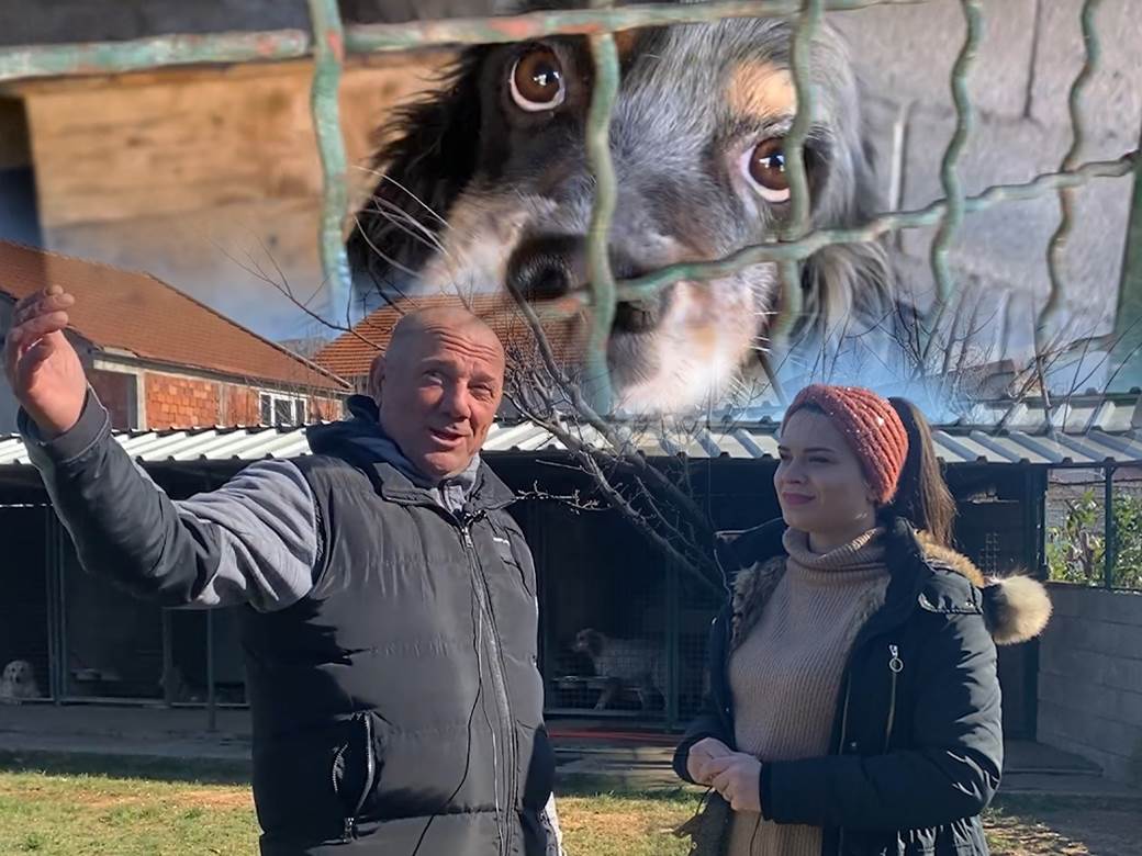  pansion za pse podgorica 