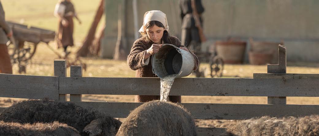 UZIMA OSKARA? Svijet se trese zbog Darine nominacije - da li će najtužniji film uzeti "zlato"? 