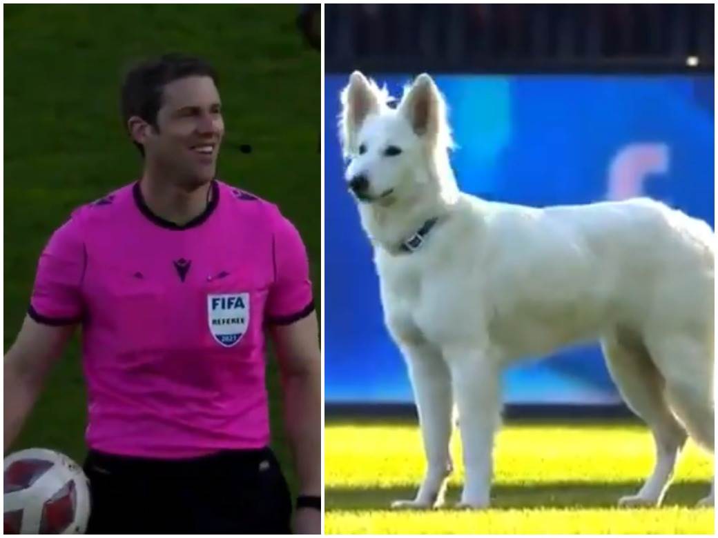  HIT SNIMAK! PAS PREDSEDNIKA KLUBA PREKINUO UTAKMICU: Gazda morao da siđe na teren po svog ljubimca!  