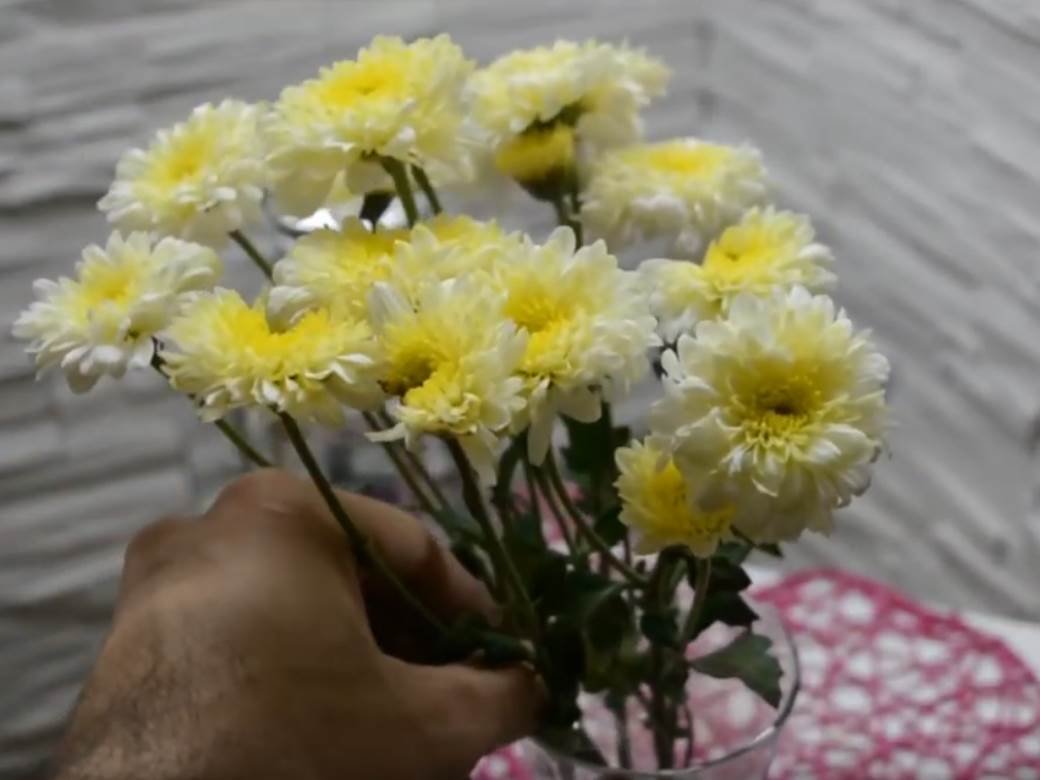  kako da vam cvijece duze traje savjeti 