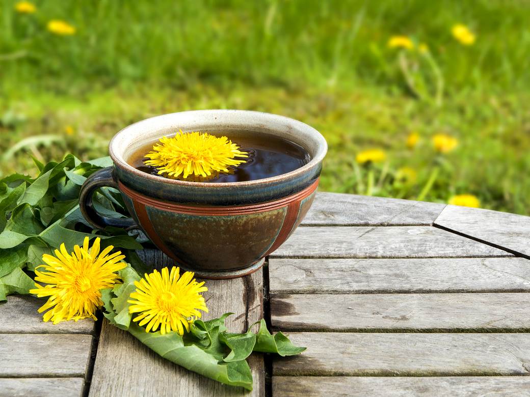  ŠTITI BUBREGE I JETRU, POMAŽE KOD PROBLEMA SA KOŽOM: Maslačak je pun vitamina i minerala, evo kako da ga koristite 