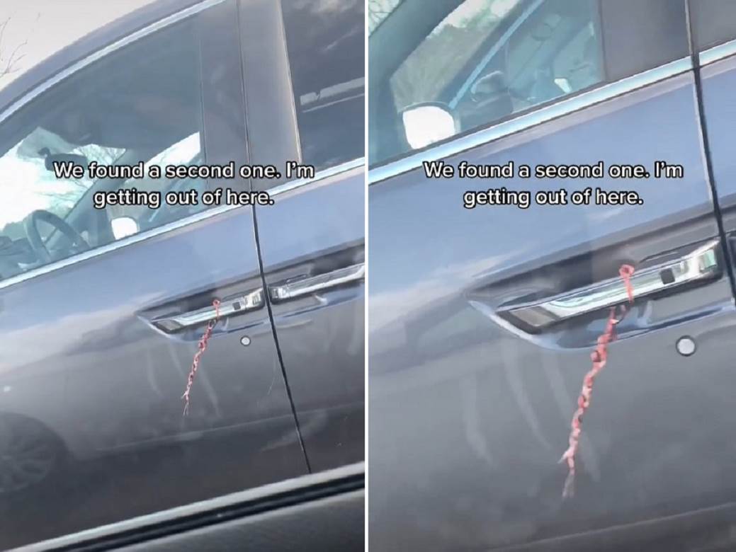  zica na bravi automobila zasto je to opasno 