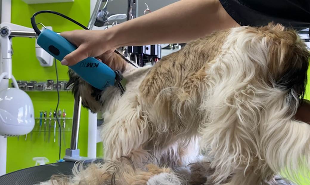  šišanje pasa podgorica grumer gruming 