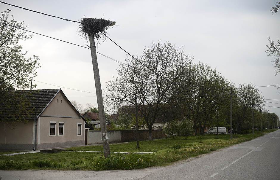  Nišlijku živu sahranili i zalepili čitulju: Lipsala je sotona, gori u paklu! Sad se i OGLASILA 