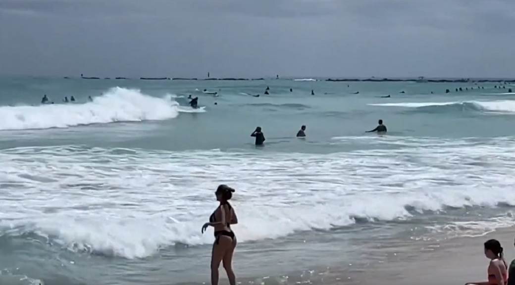  minesota florida ajkula napala djecaka u plicaru vrisnuo povrijedjen foto video 