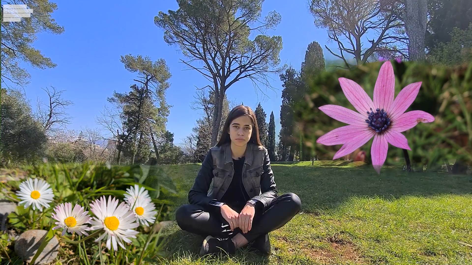  sat za planetu zemlju video 