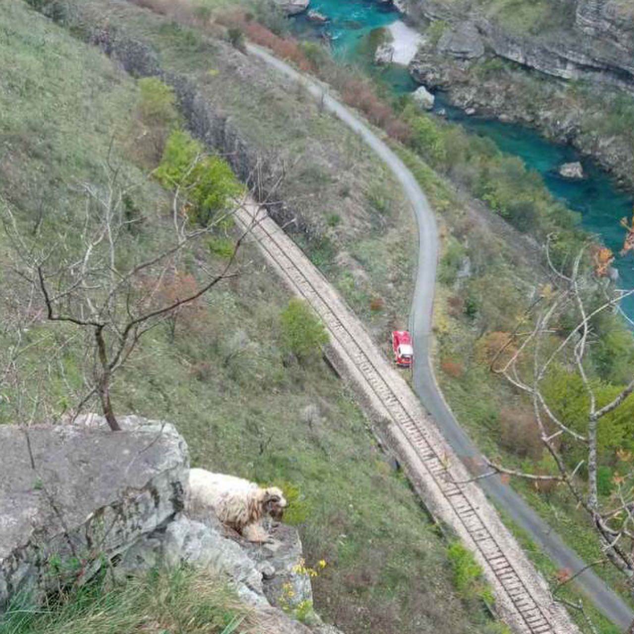  ovca bioce vatrogasci evakuacija 