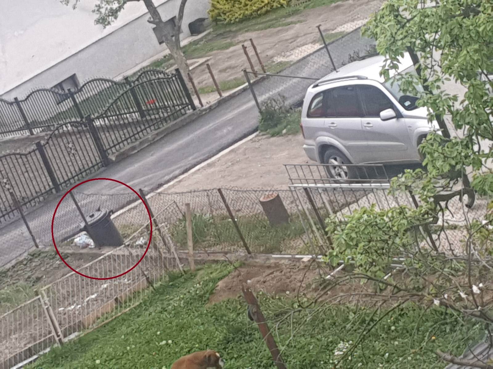  zena bacila bebu u kontejner prijepolje 