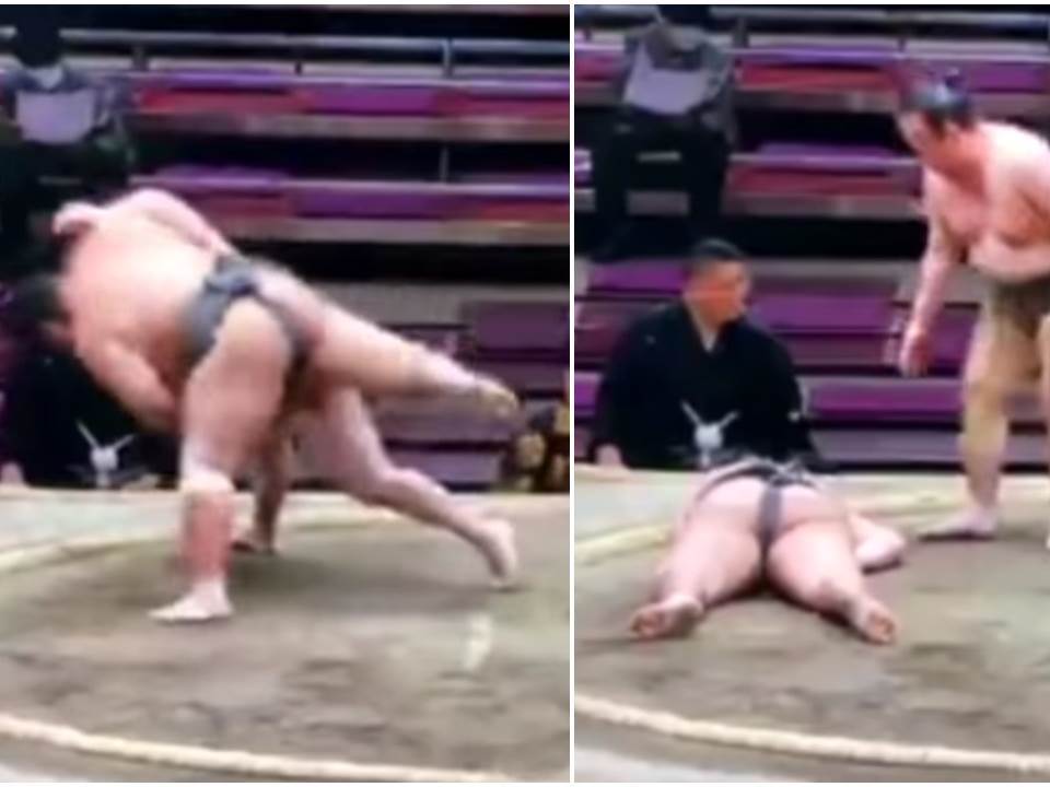  sumo rvac umro u japanu 