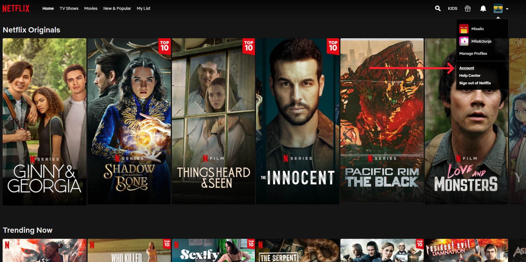  kako izlogovati sve naloge na netflixy 