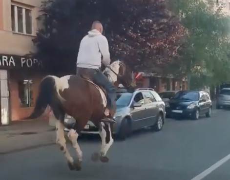  muskarac jaše konja u beogradu  