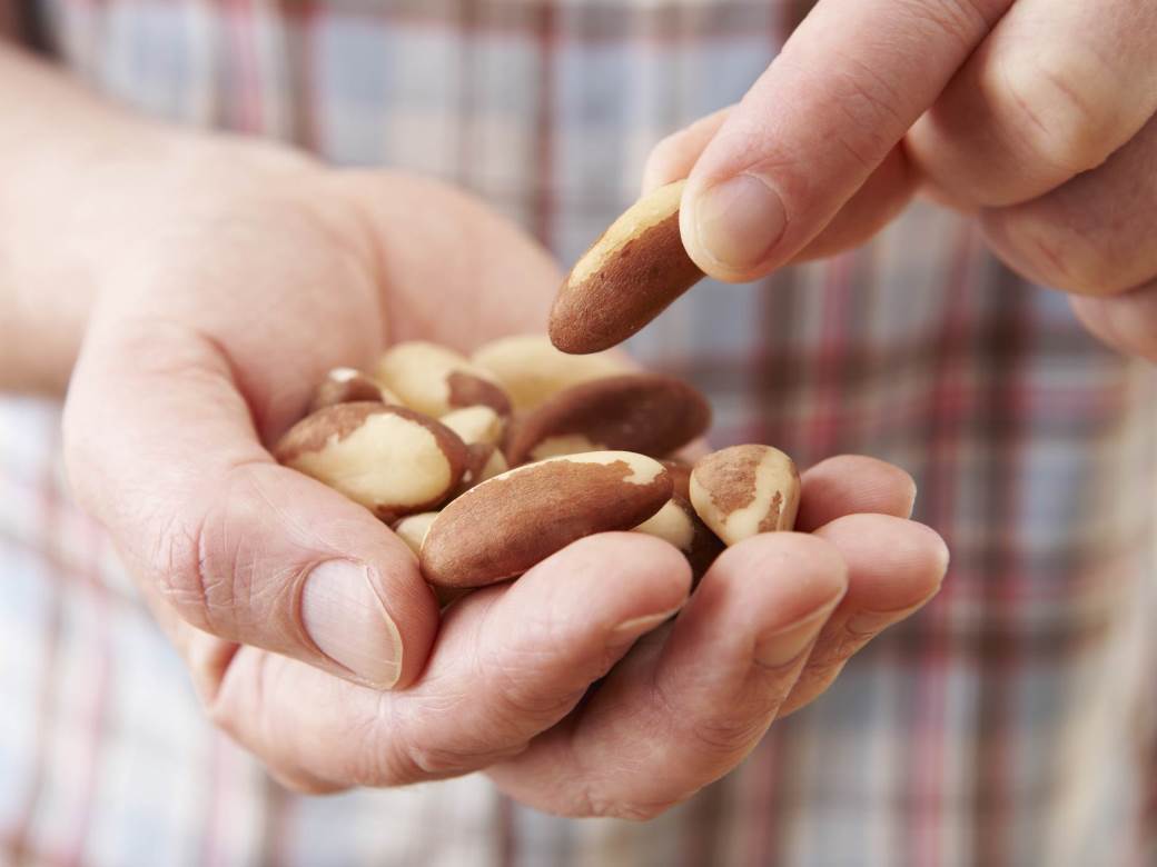  imunitet brazilski orah  