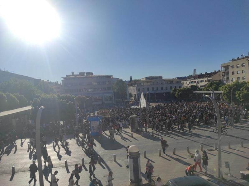  besplatno cvijece podgorica  