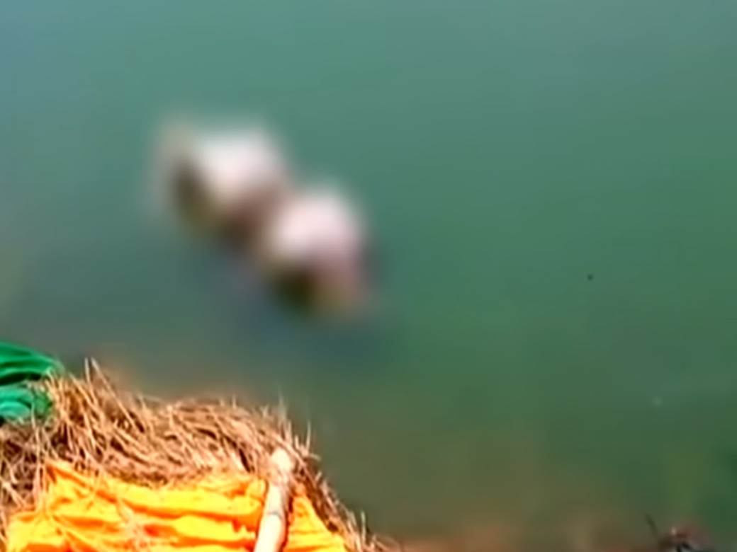  korona virus u indiji lesevi plutaju rijekom uznemirujuci video 