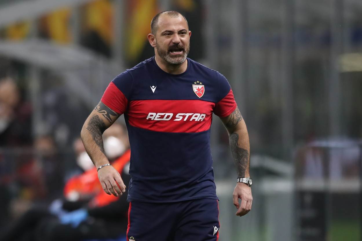  fk crvena zvezda stankovic liga sampiona 