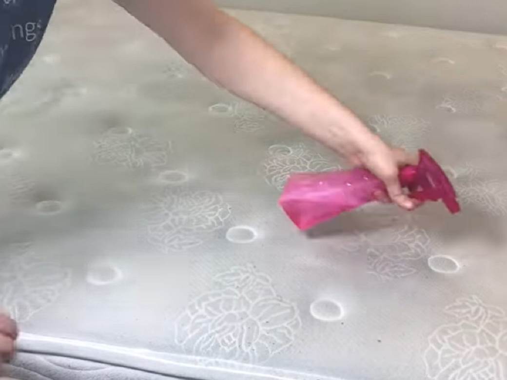  domaci sprej protiv grinja savjeti 