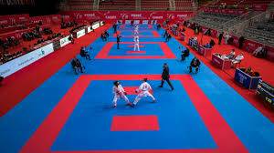  karate crna gora druga u evropi 