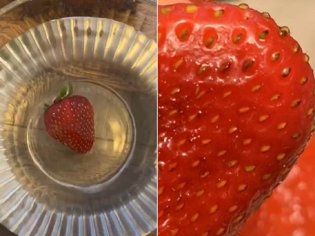  jagode u slanoj vodi 