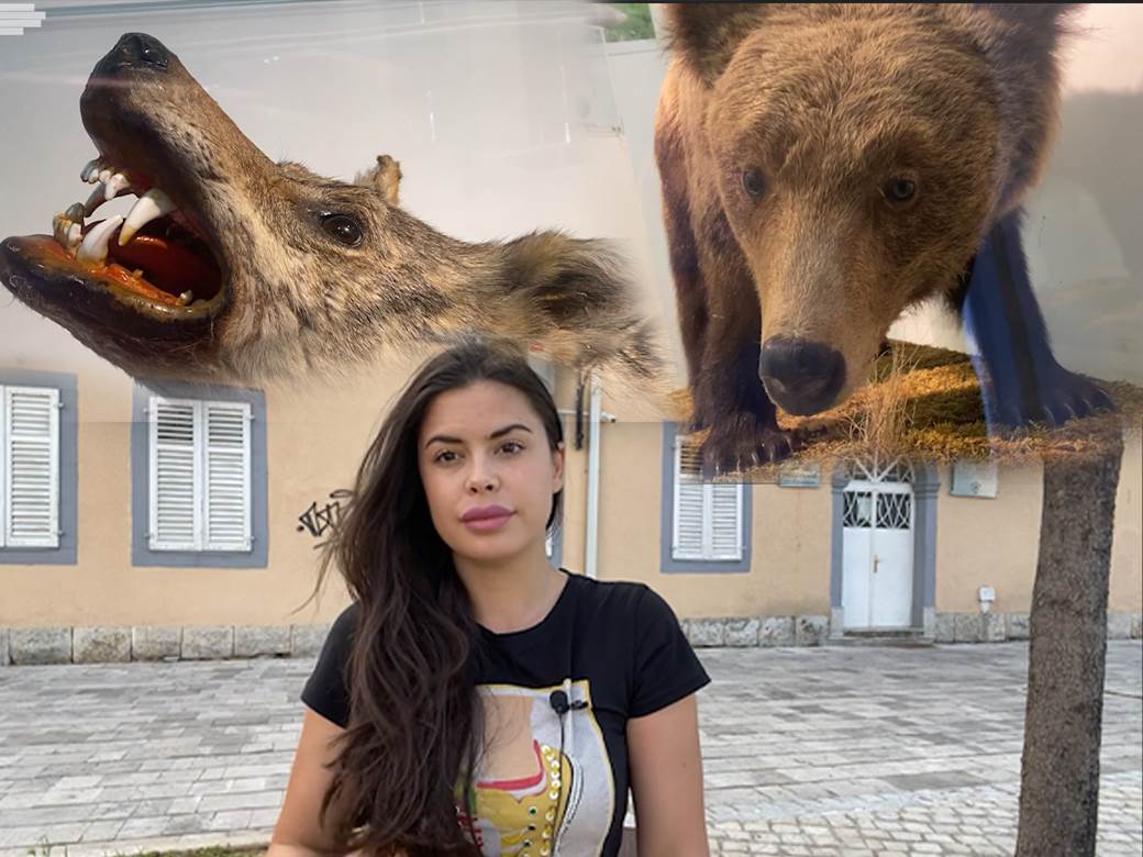  prirodnjacki muzej u podgorici 