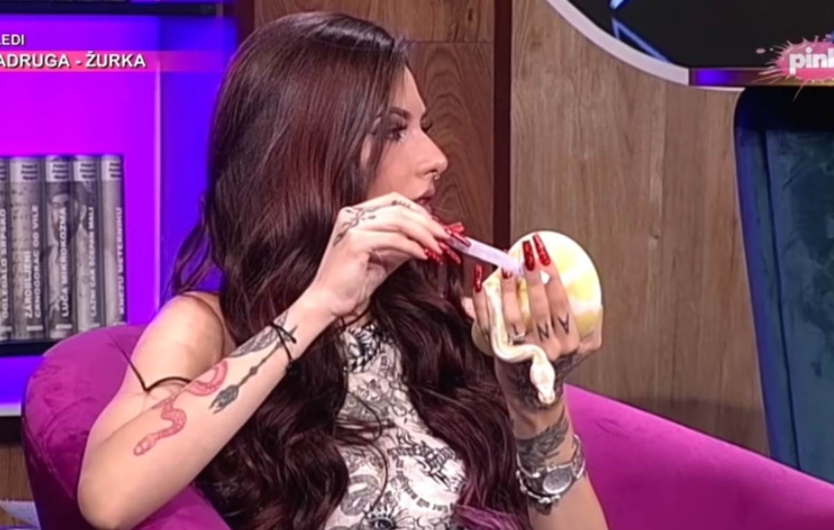  tik tokerka zmija u emisiji 