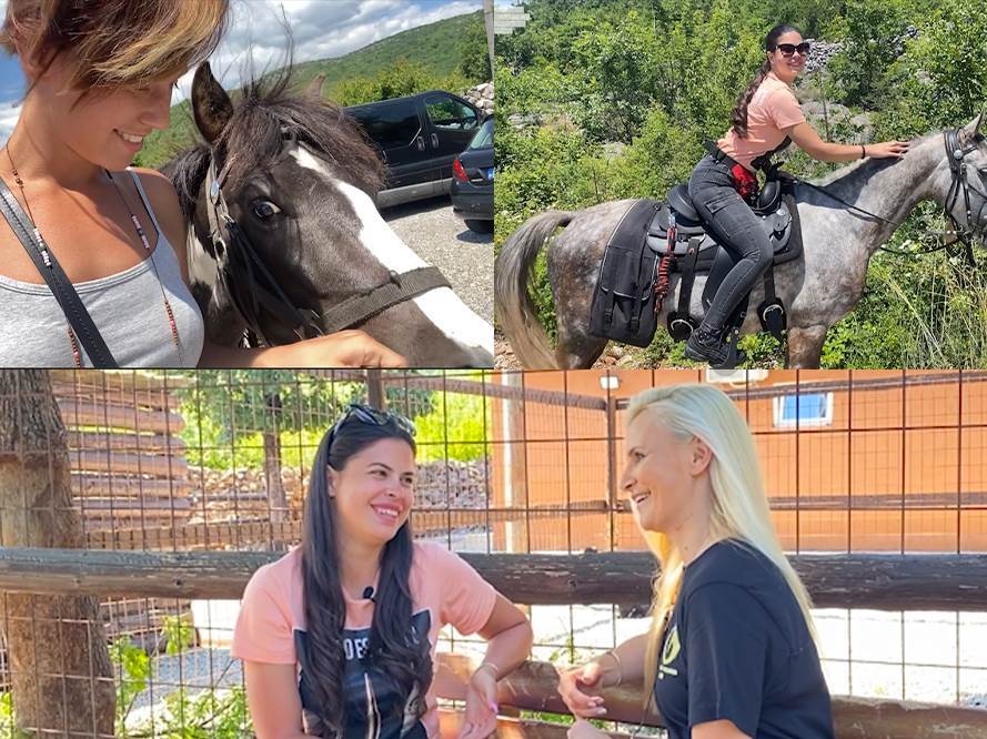  konjicki klub k9 zivotinje lijesnje 