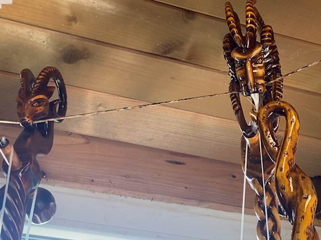  gusle crna gora vjekoslav 