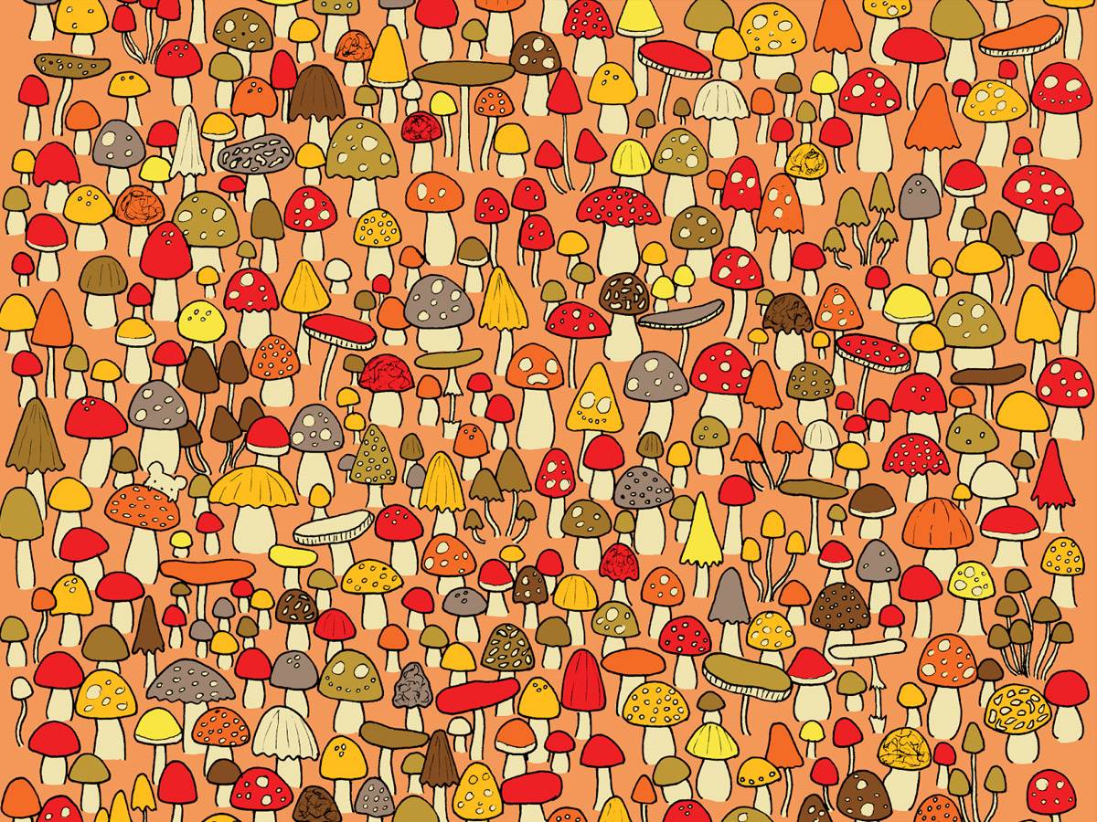  mozgalica za najpametnije 