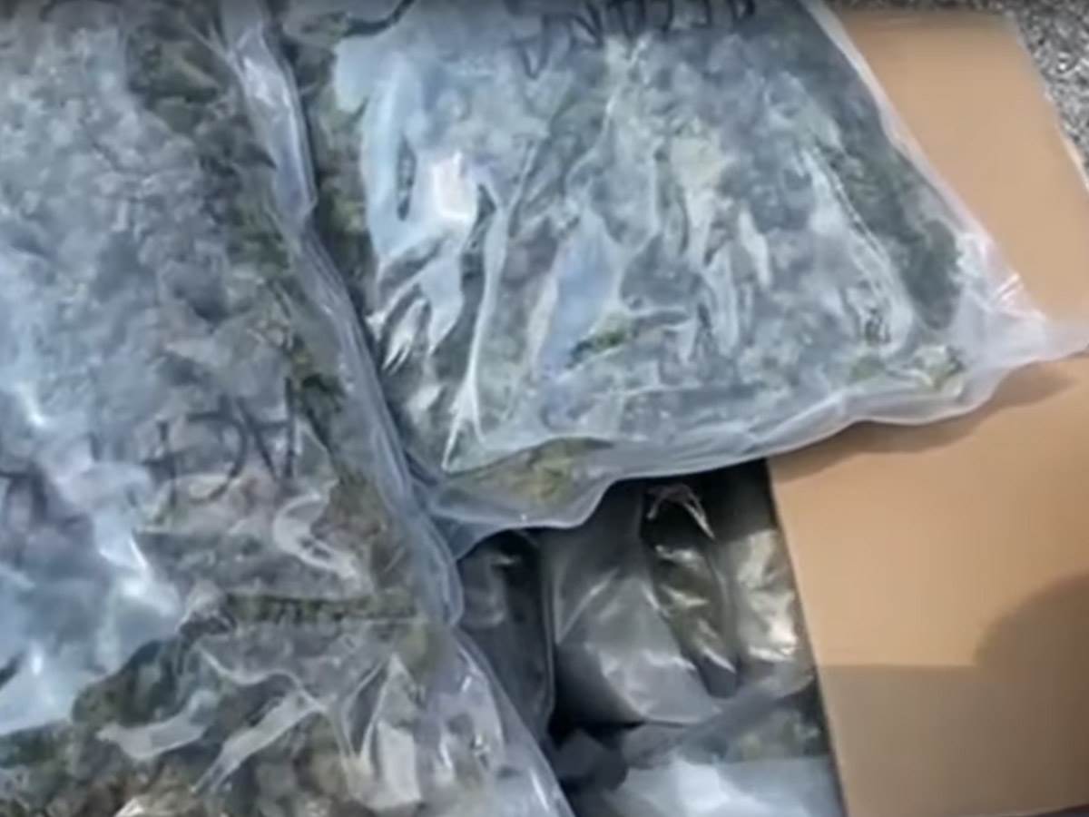  Sve više obrazovanih ljudi koristi droge 