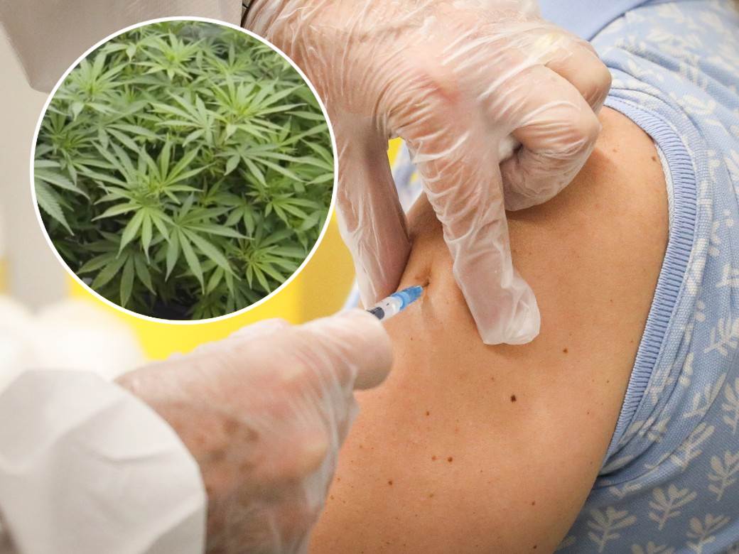  u americi nude dzoint za vakcinu  