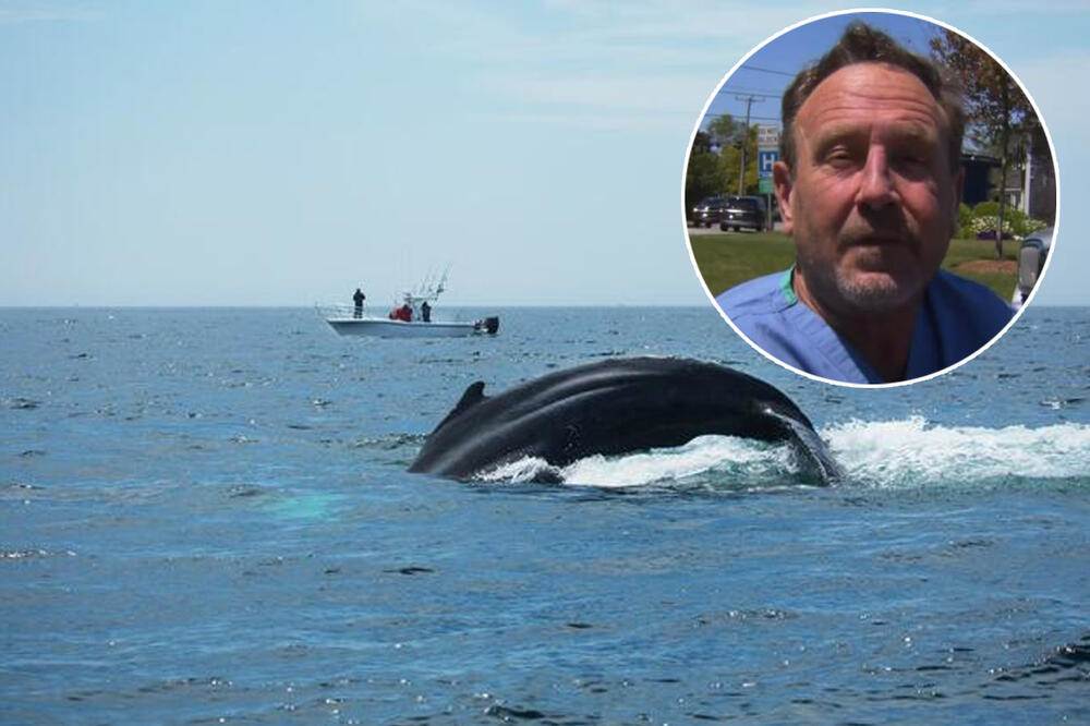  covjek prezivio nakon sto ga je kit stavio u usta 