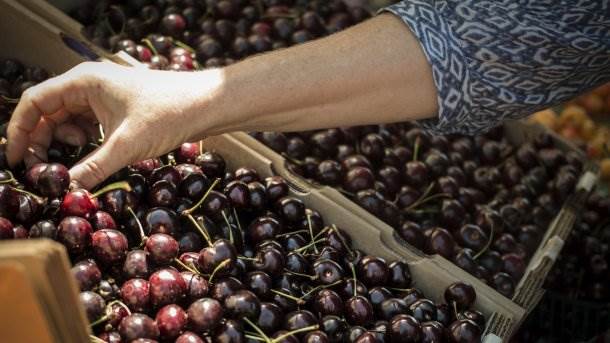  trudnice treba da jedu visnje 