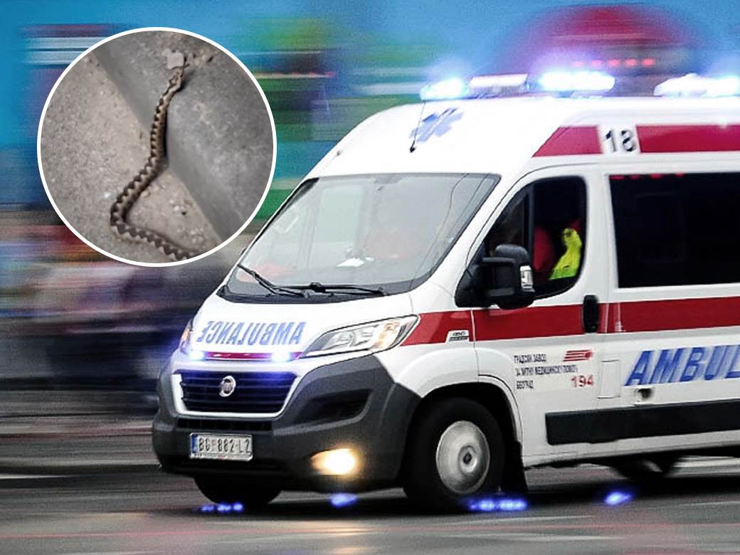  djecaka iz nisa ujeo poskok za obraz 