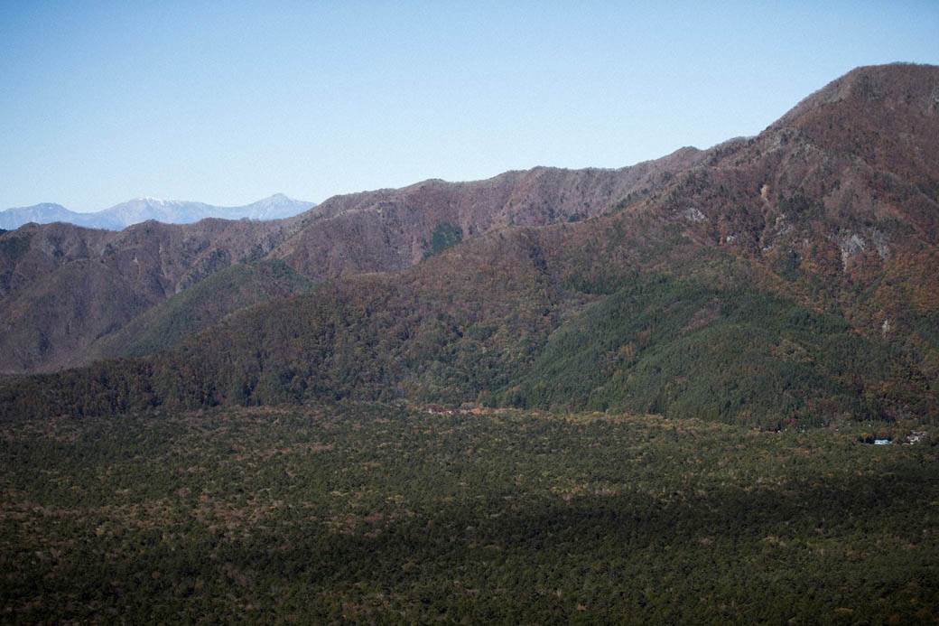  crna gora prihodi od suma 