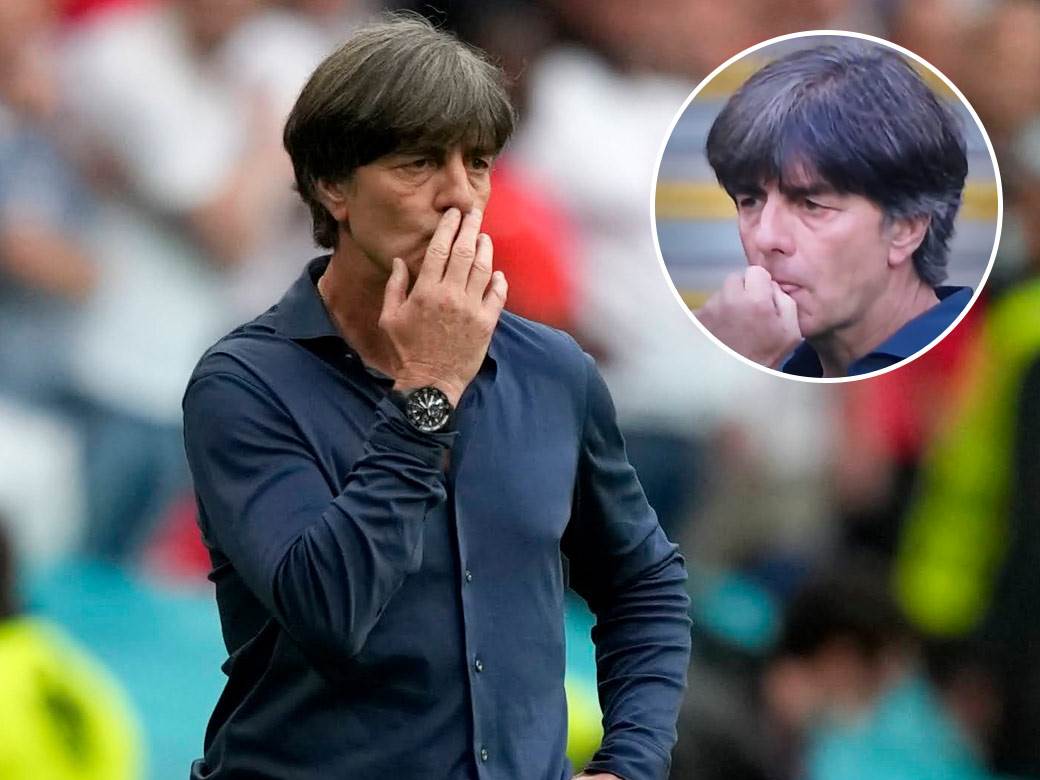  lev uhvacen kako cacka nos pa ga mirise 