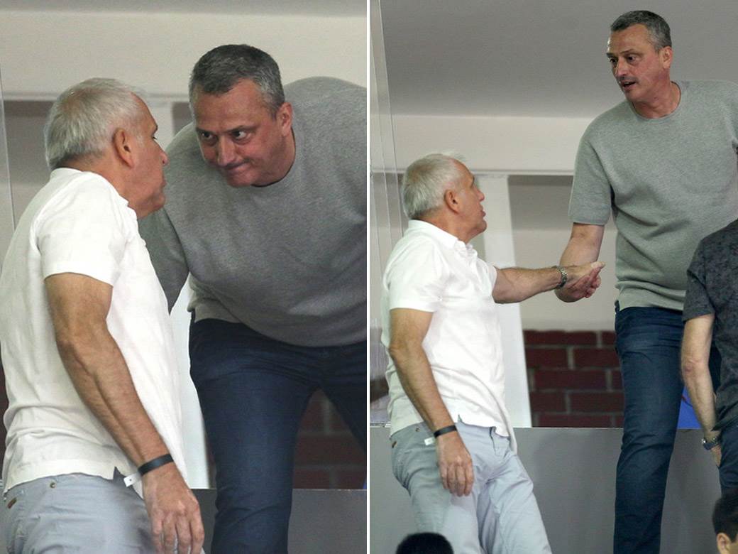  obradovic i radonjic slika 