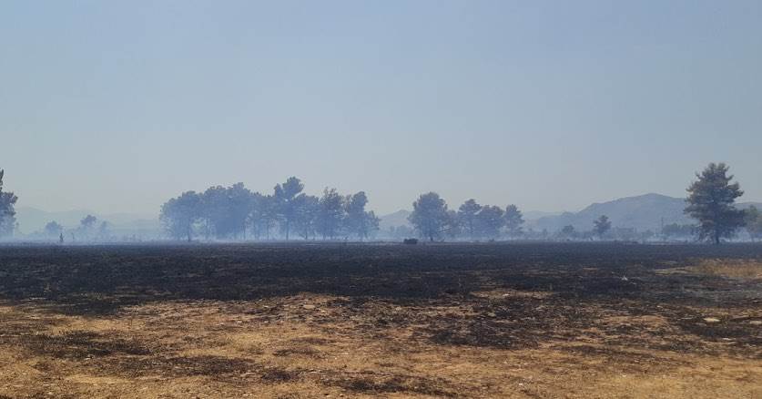  pozar na cemovskom polju  