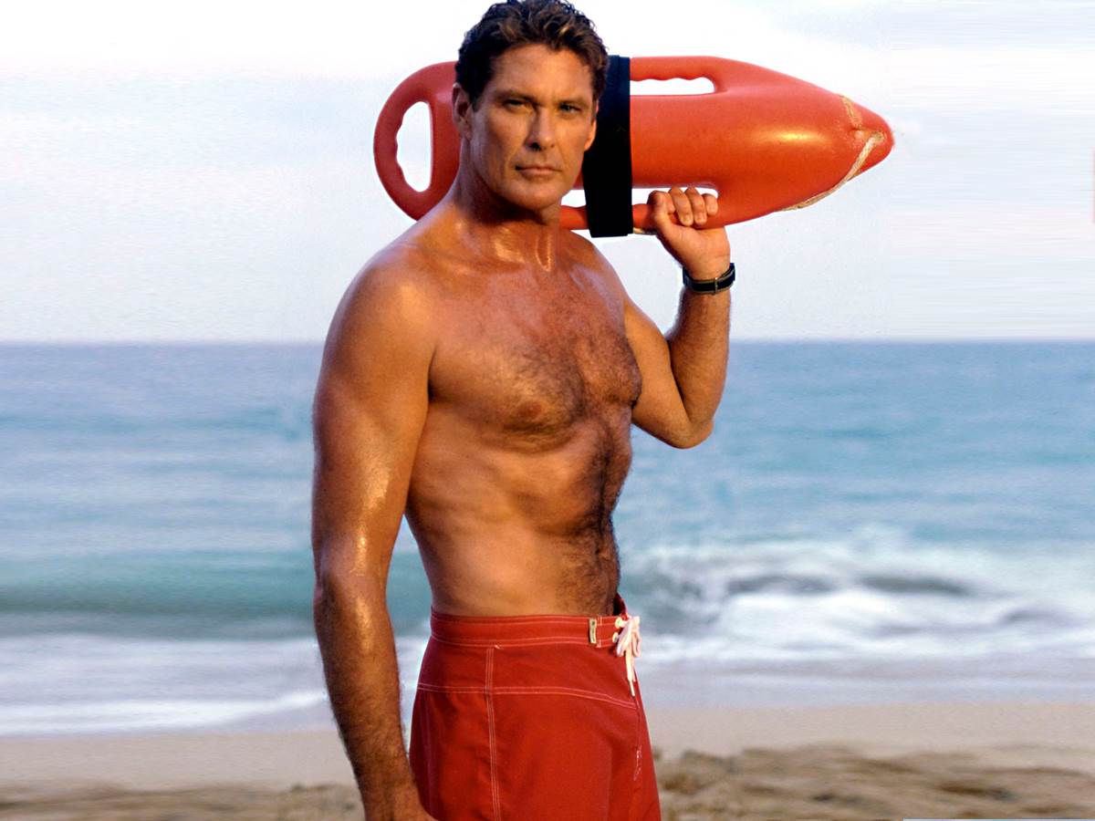  Dejvid Haselhof cuvari plaze  