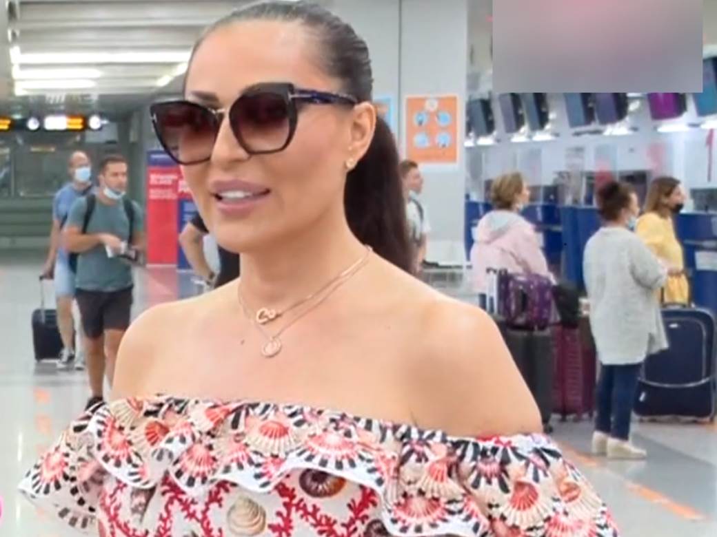  ceca raznatovic pocetak karijere 