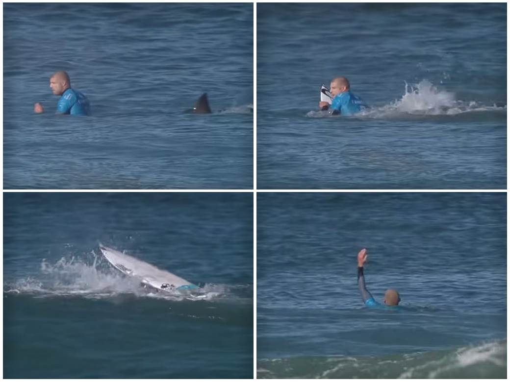  napad ajkule na svjetskom prvenstvu u surfovanju 