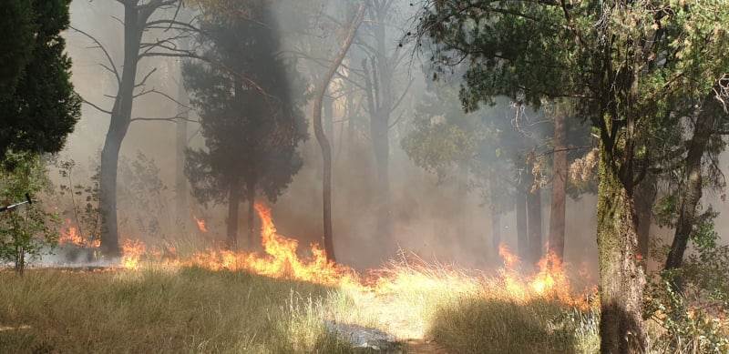  226785825_1707138509674189_5601301650993444137_n 