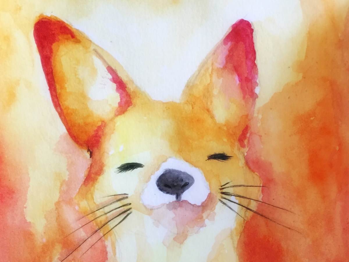  firefox suggest bezbjednost 