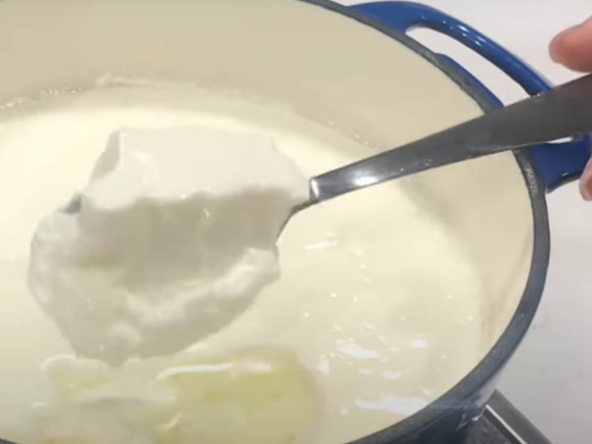  jogurt i kiseli kupus zdraviji od ljekova 