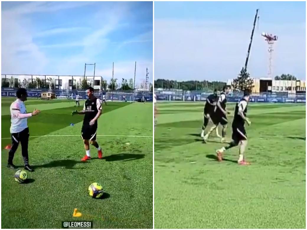  mesi na treningu psz 