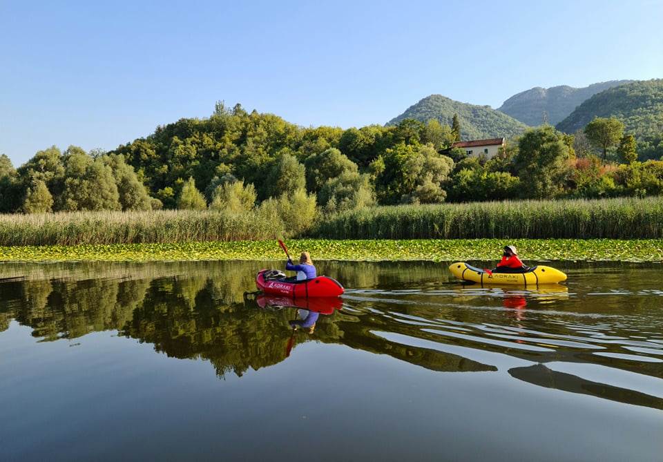  232554928_1492854617713571_2360876141530854037_n 