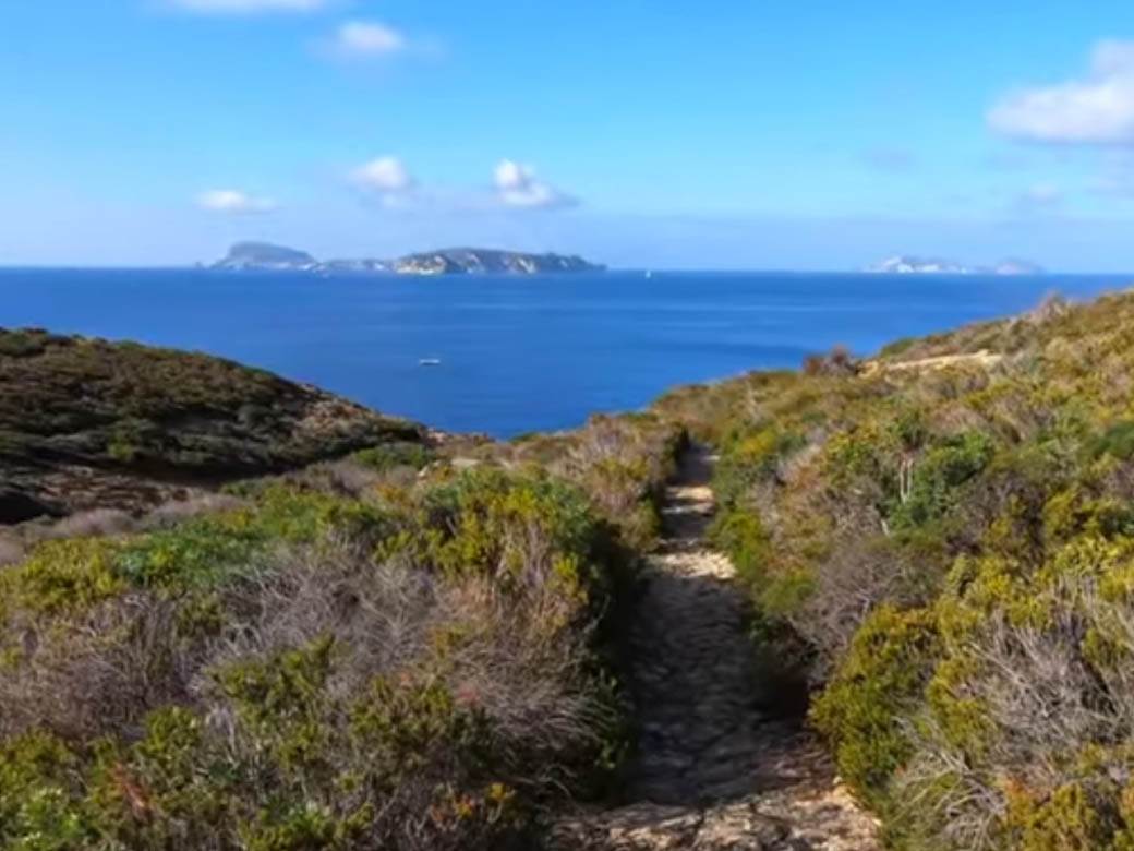  Žena živjela sa 32 muškarca na ostrvu 
