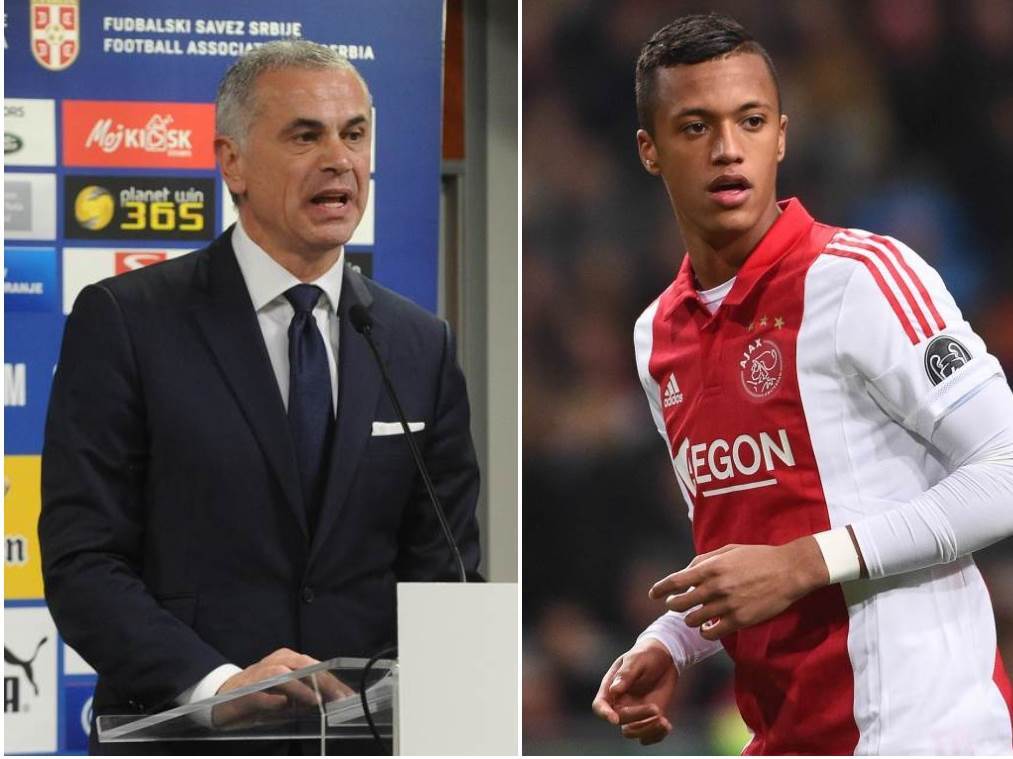  crvena zvezda zeli risaira 