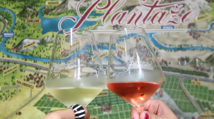  najbolja vina plantaze 