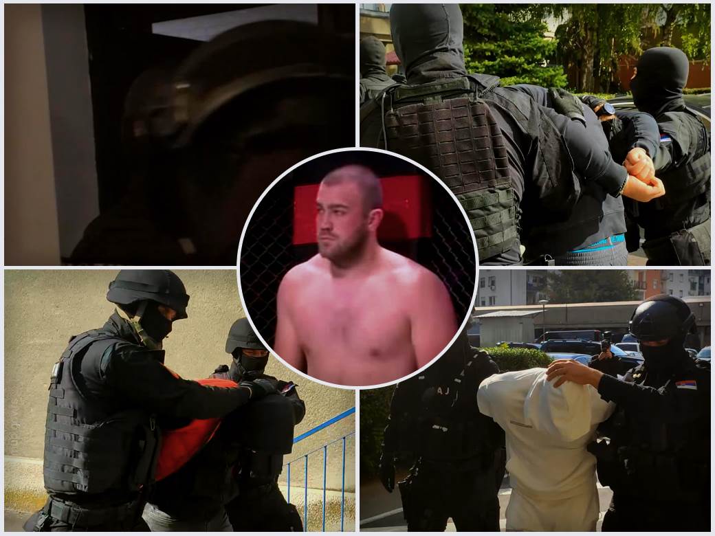  novi sad ubistvo mma borca 