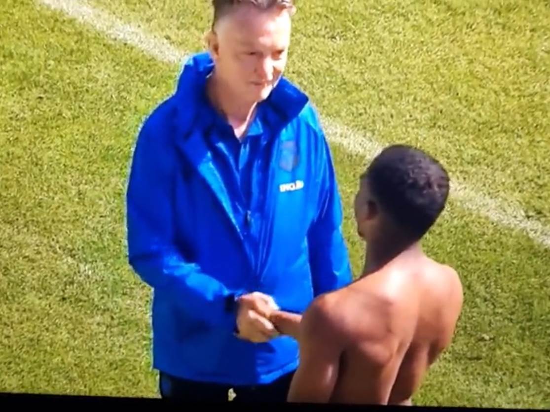  luj van gal holandija  